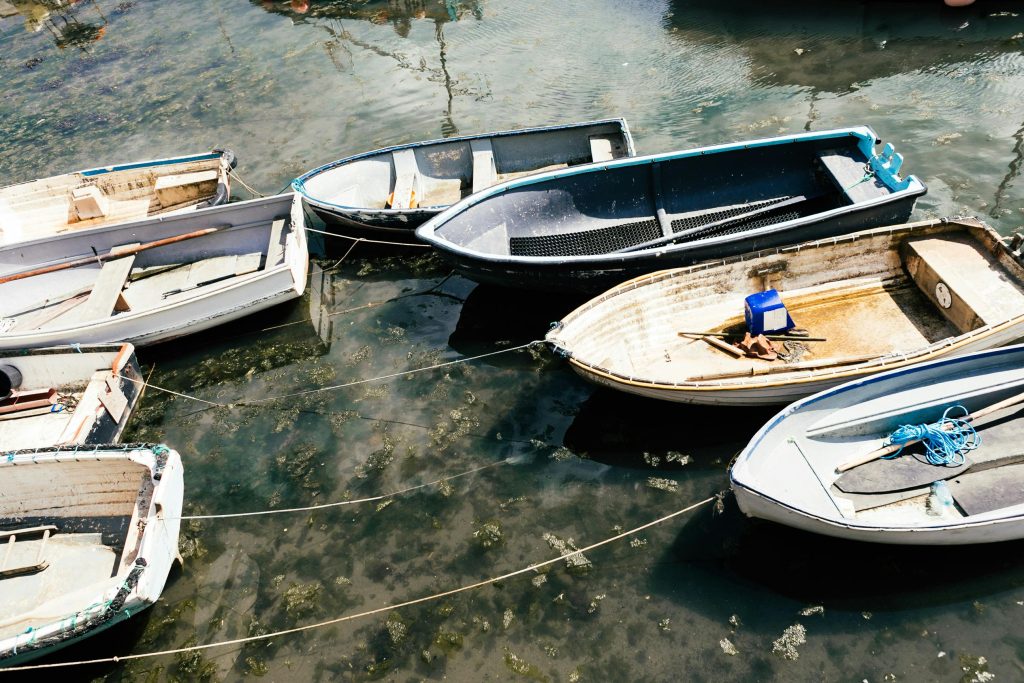 A dock full of small rowing boats